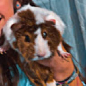 Meet your Posher, Mariah